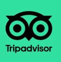 tripadvisor app