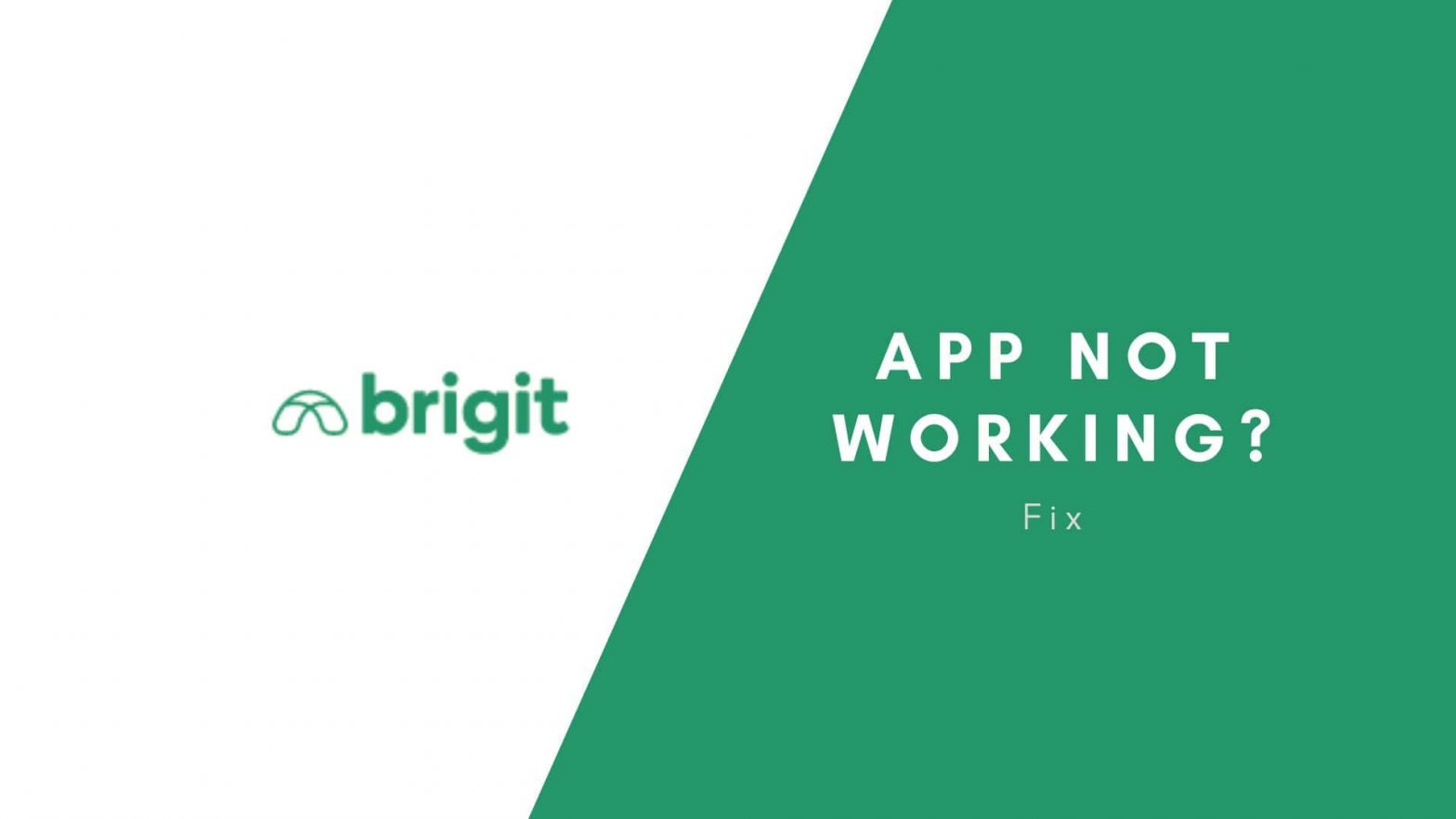Brigit app not working-min