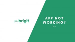 Brigit App Not Working (Ways to fix)