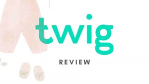 Twig app (Sell clothes) Review - Is it worth it?