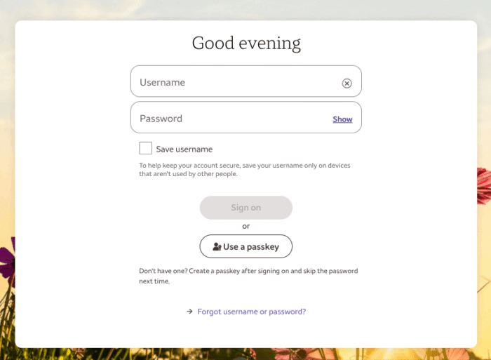 Wells Fargo CC payment page